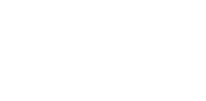 Custom Fleet (Desktop)